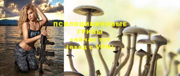 прущие крисы Баксан
