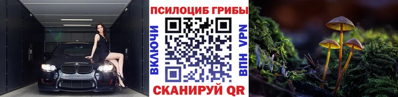 Галлюциногенные грибы GOLDEN TEACHER Нижние Серги